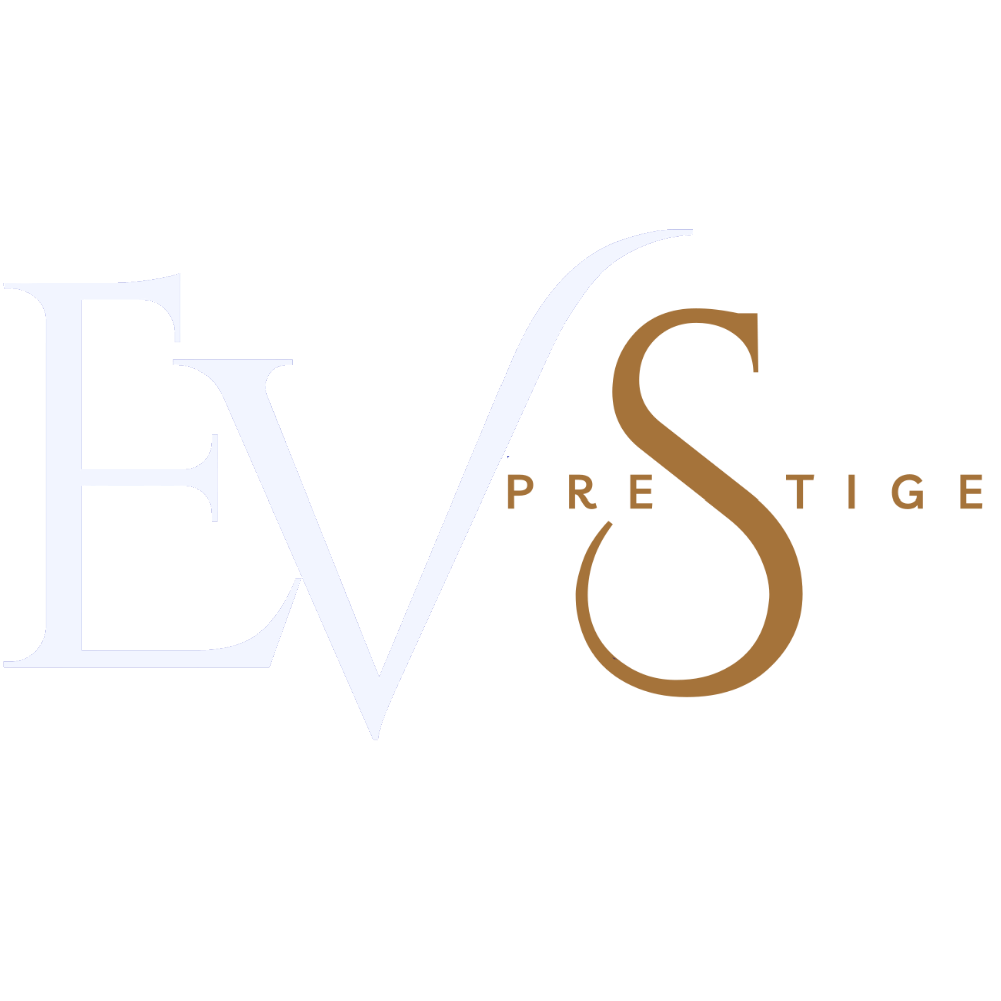 LOGO EVS PRESTIGE